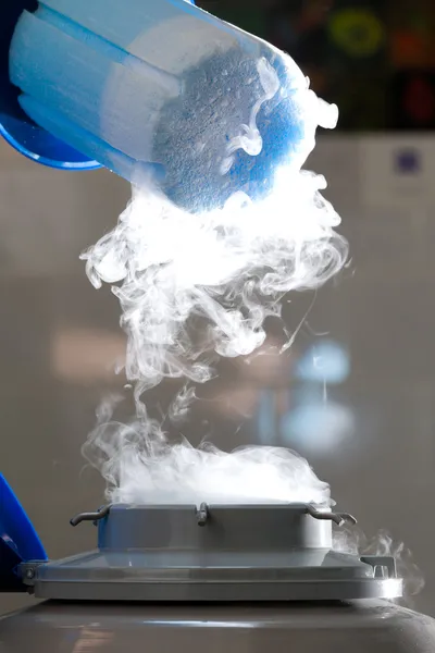 容器に液体窒素、蒸気の多く — ストック写真