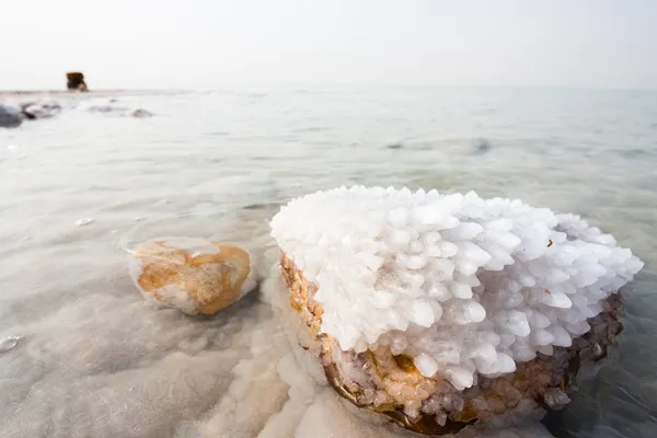 Salz im Toten Meer — Stockfoto