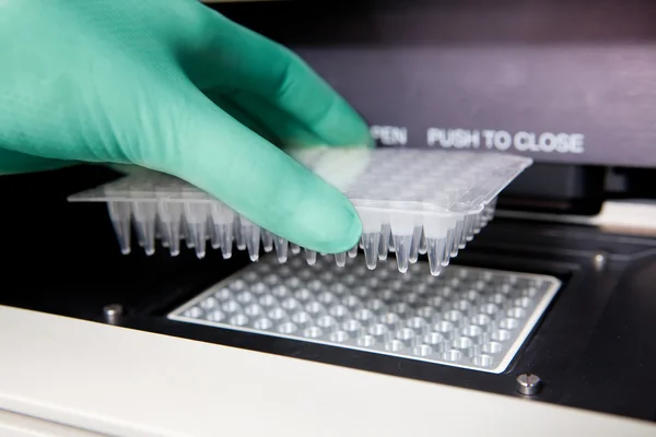 Luvas verdes, Thermal PCR Cycler, cópia de DNA, fechar — Fotografia de Stock