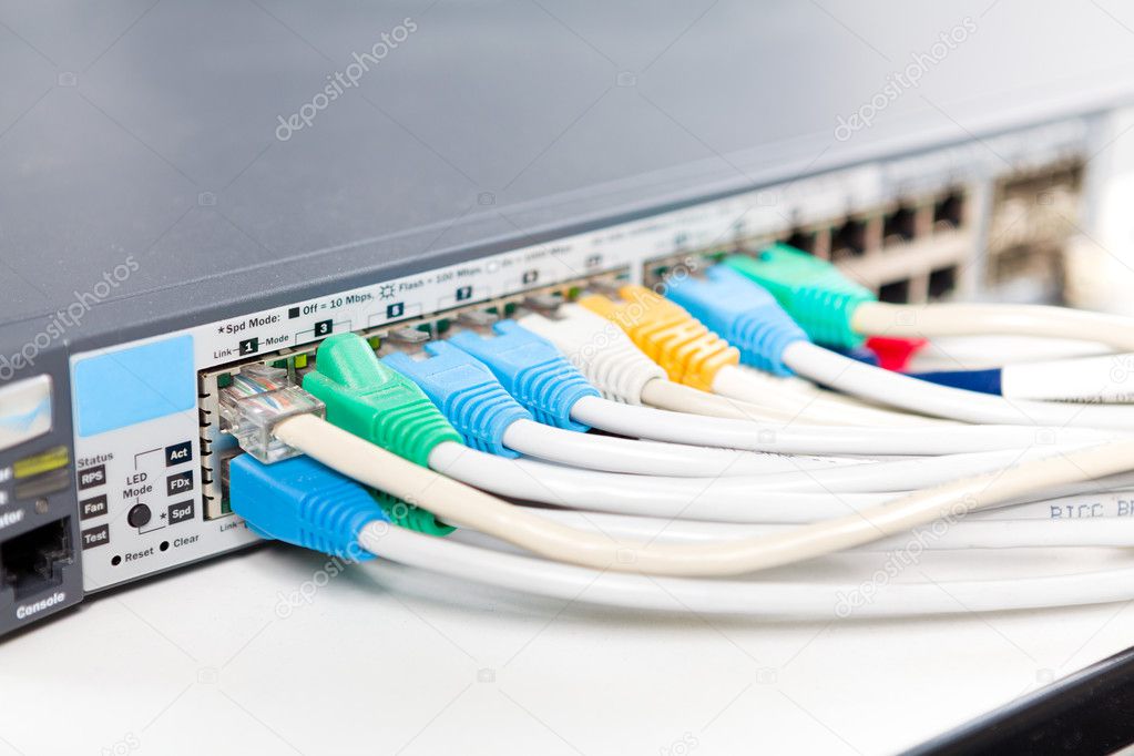 Network cables connected into router