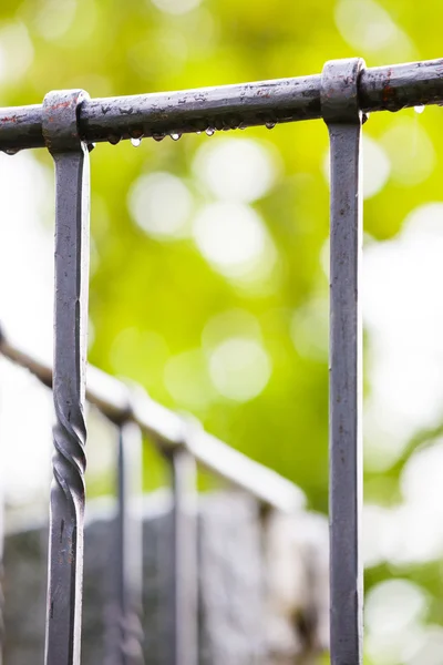 stock image Steel fence in city park after a light rain