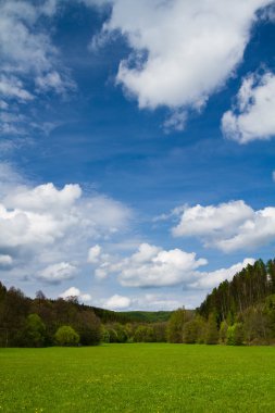 Meadow, forest and skies, Portrait orientation. clipart