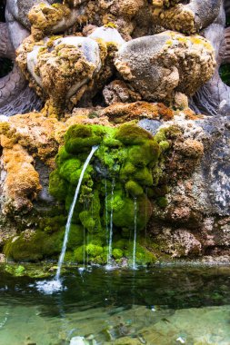 ayrıntılı bir gölet ile moss, Roma, İtalya