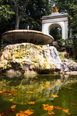 Çeşme ve gölet yapraklar, Roma, İtalya