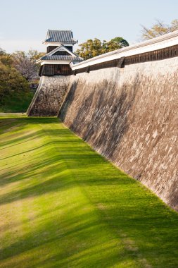 Kumamoto Ortaçağ kale duvarı kyushu içinde Japonya