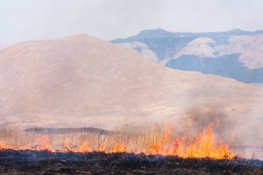 Controlled grass burning near Mount Aso, Japan clipart