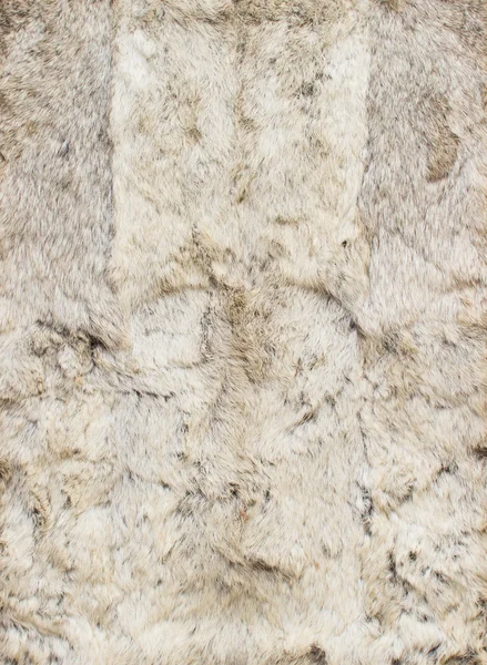 Белая кожа из кроликов, четыре куска вместе — стоковое фото