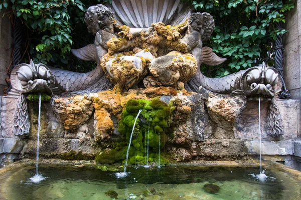 Fountain and moss with pond in Rome, Italy — Stock Photo, Image