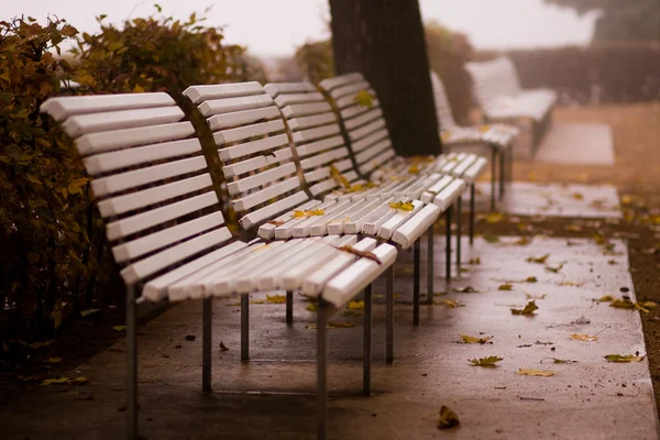 Autumn Benches — Stock Photo, Image