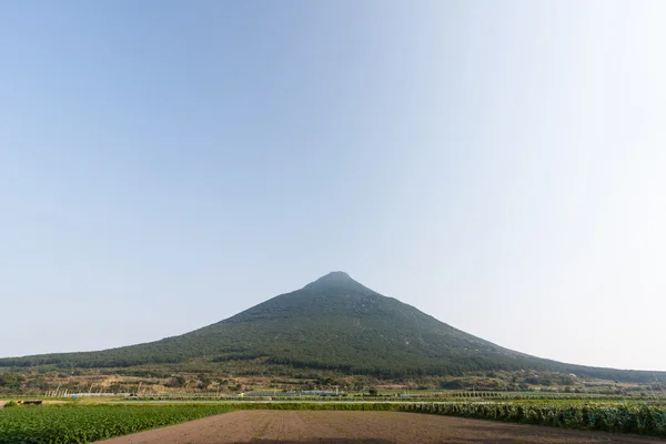 Wulkan Mount kaimon (kaimondake), Południowej kyushu — Zdjęcie stockowe