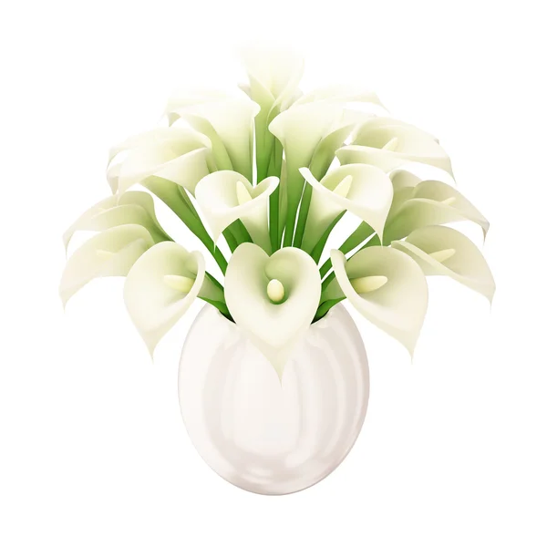 Bouquet bianco di Calla - sfondo bianco Immagine Stock