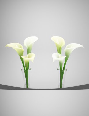 White Calla 2 small vases clipart