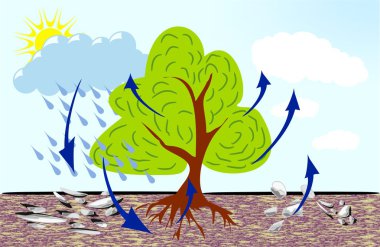 Water cycle, clipart