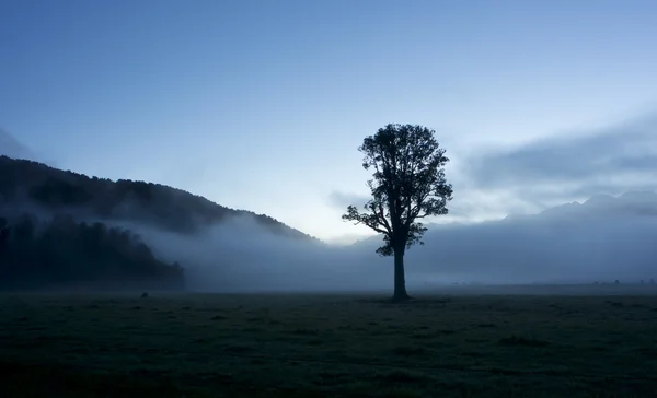 stock image Quiet foggy morning