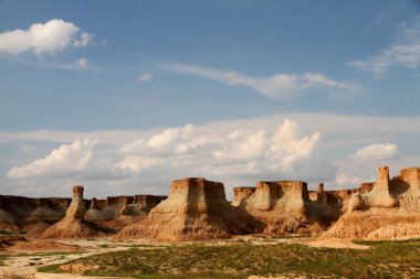 Çin'in datong shanxi toprak ormanda