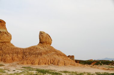 The Soil Forest in DaTong Shanxi of China clipart