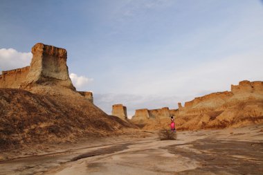 Çin'in datong shanxi toprak ormanda