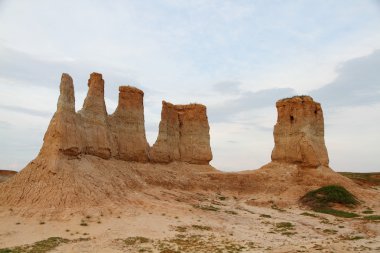 Çin'in datong shanxi toprak ormanda