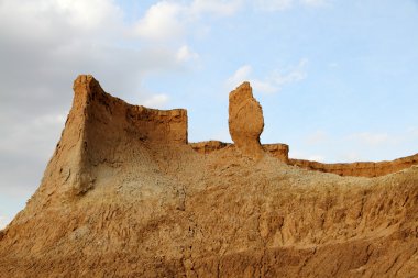 Çin'in datong shanxi toprak ormanda