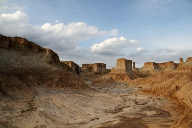 Çin'in datong shanxi toprak ormanda