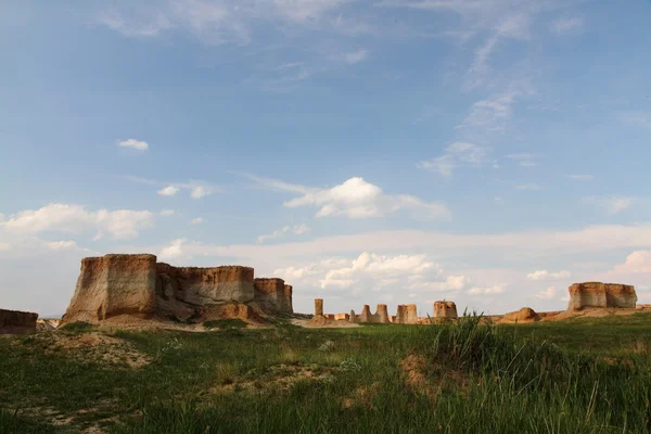 stock image The Soil Forest in DaTong Shanxi of China