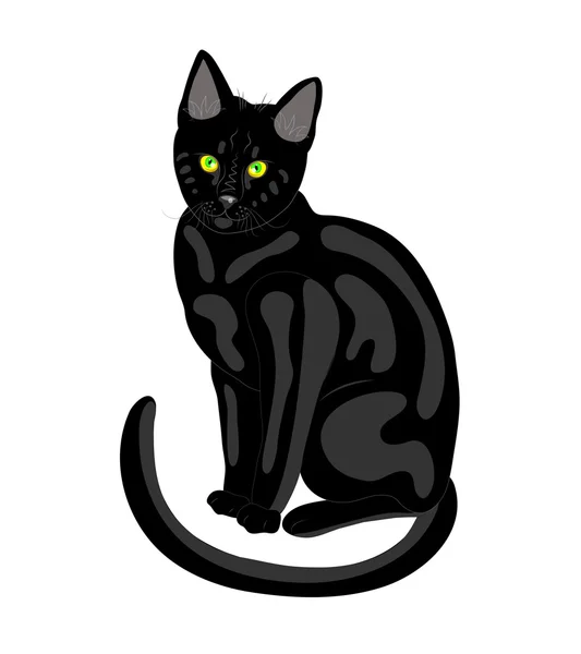 Gato negro . — Vector de stock