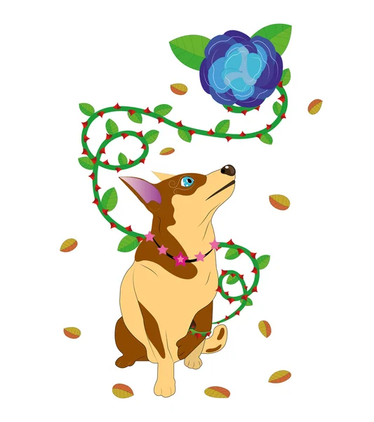 Pes a květin s trny. — Stockový vektor