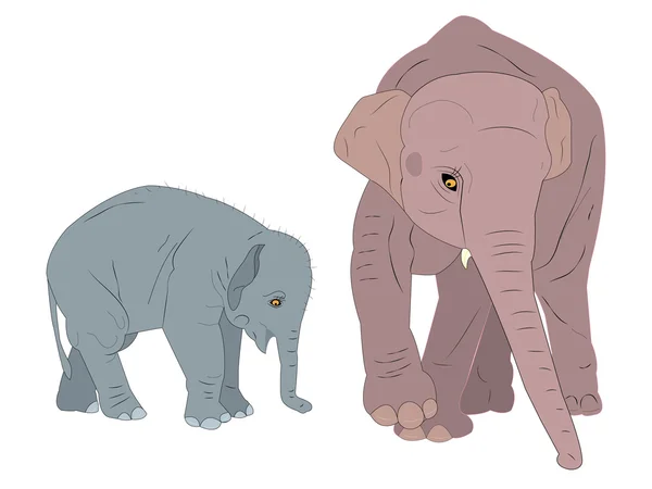 Familie van olifanten. — Stockvector