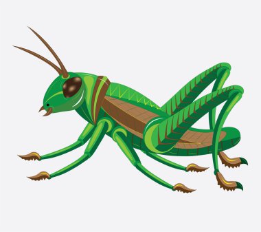 Green-brown grasshopper. clipart