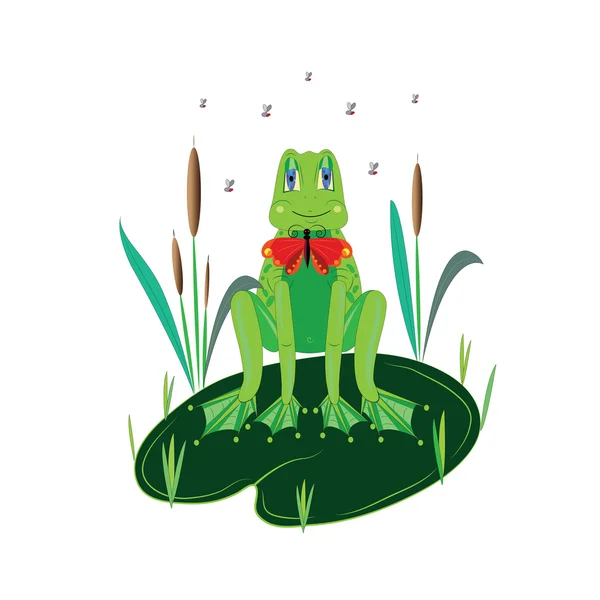 Krásná zelená žába. — Stockový vektor