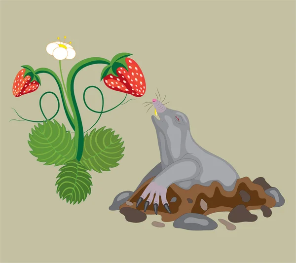 Taupe et fraise sauvage . — Image vectorielle