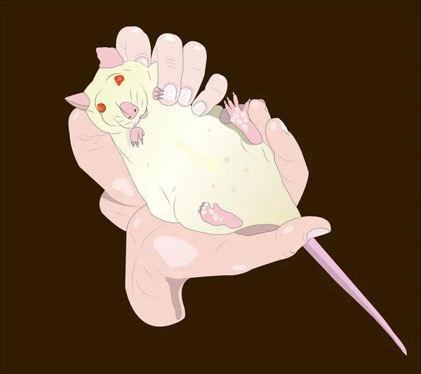 La rata albino en las manos . — Vector de stock