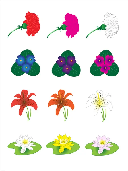 Fleurs de printemps. — Image vectorielle