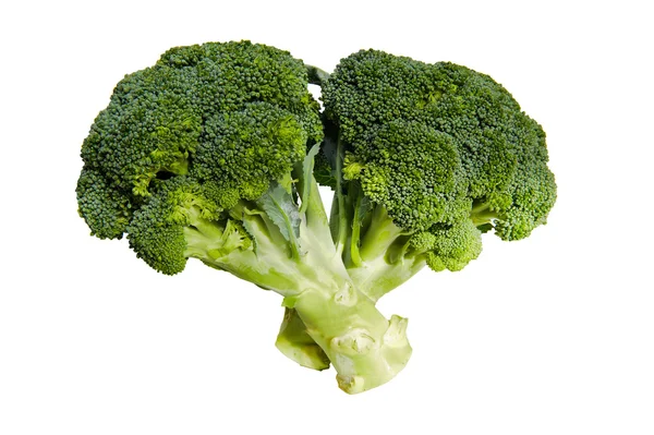 stock image Broccoli