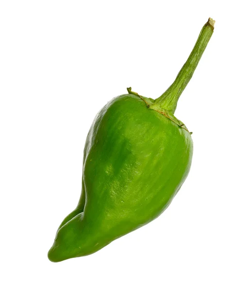 Padron πιπεριές — Φωτογραφία Αρχείου