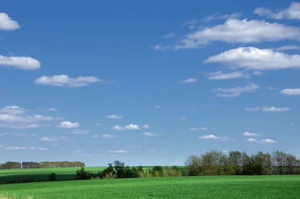 stock image Spring