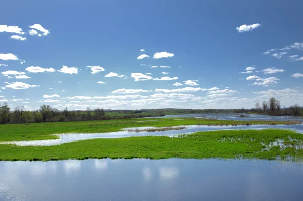 stock image Spring