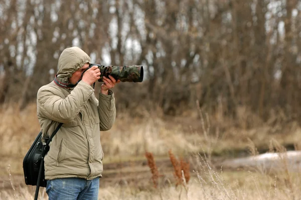 Stock image Spring