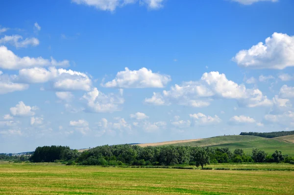 Sommer — Stockfoto