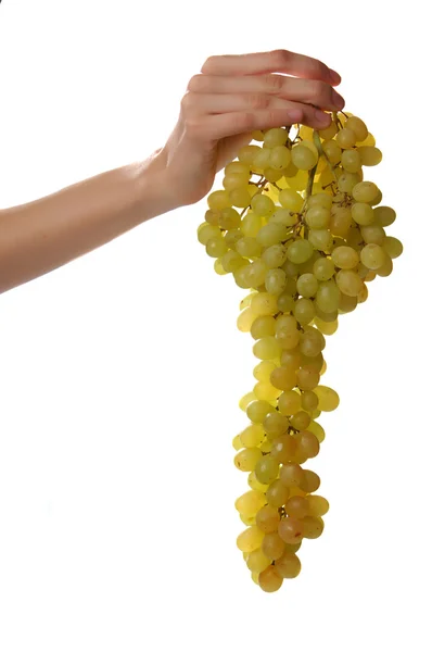 stock image Hands. grapes