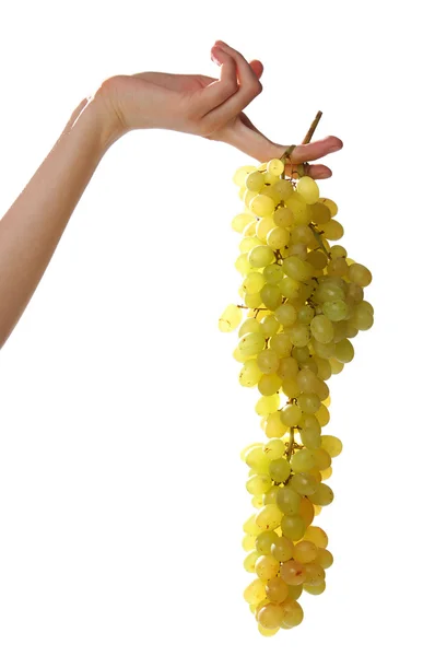 stock image Hands. grapes