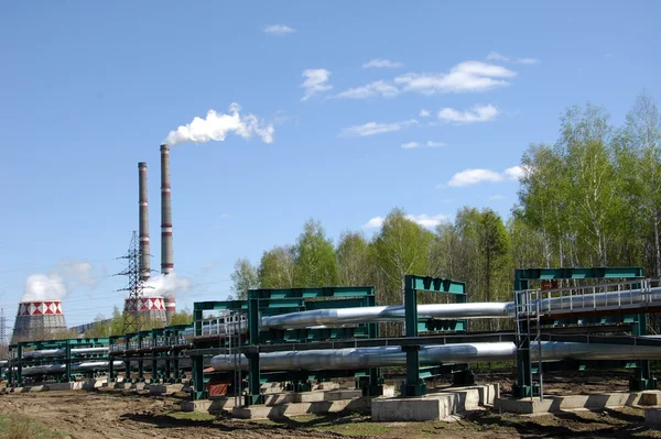 stock image Plant