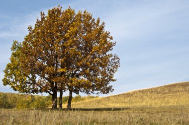 Autumn, autumn song, autumnal equinox clipart