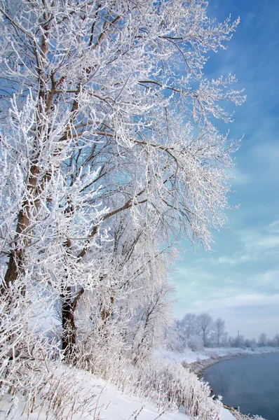 Χειμώνας — Φωτογραφία Αρχείου
