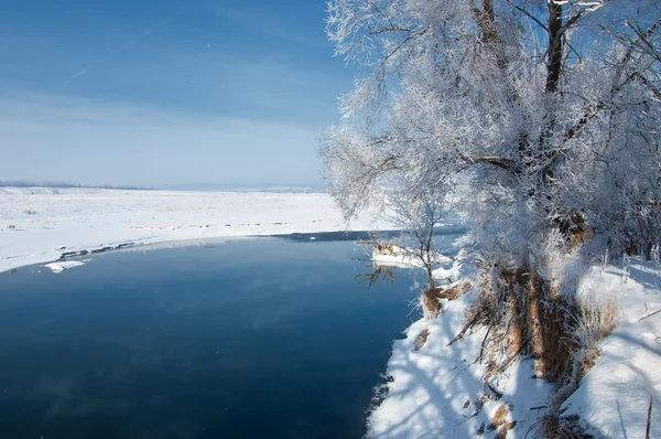 冬 — ストック写真