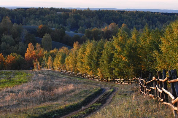 Stock image Autumn