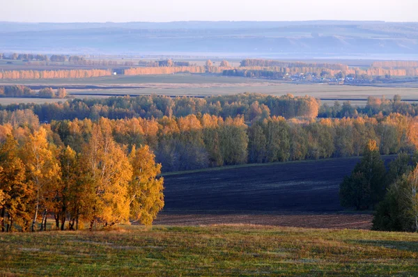 Stock image Autumn