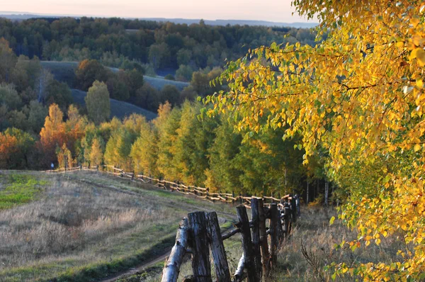 stock image Autumn