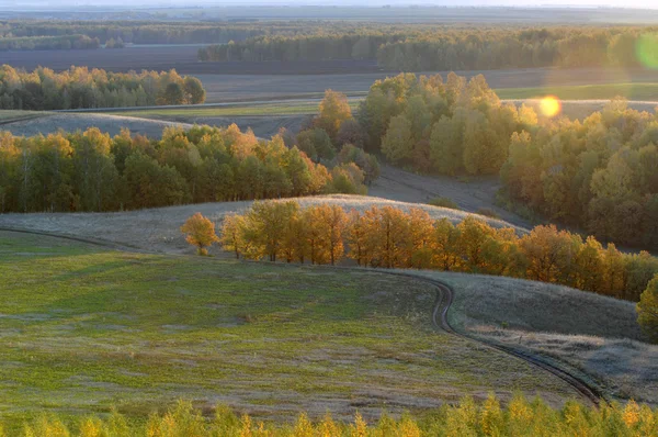 Stock image Autumn