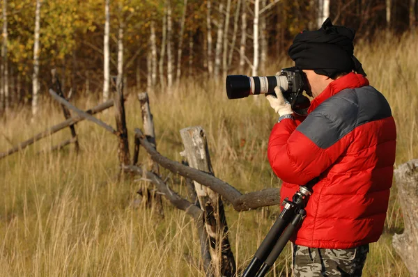 stock image Autumn